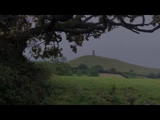 Cold rain sounds under the tree in england gentle rainfall for relaxing, sleeping deeply, insomnia