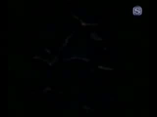 Lareine bara wa utsukushiku chiru