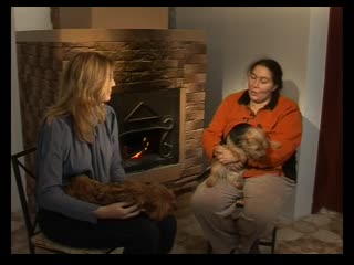 Австралийский хилер живой дом серия 79