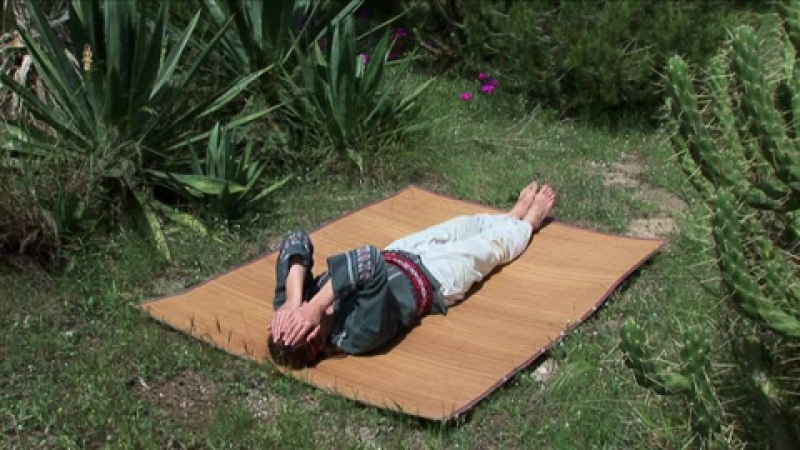 Сон змеи магические пассы шаманов древней мексики