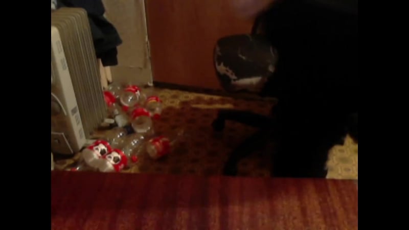 Батины труханы | разбиваем банку яги