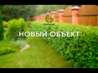 Green line оформление вдоль забора