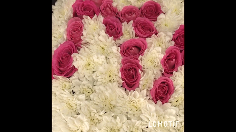 Подарите своим любимым отличное настроение!