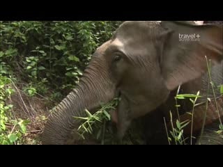 Лаос самые страшные и жуткие дороги в мире