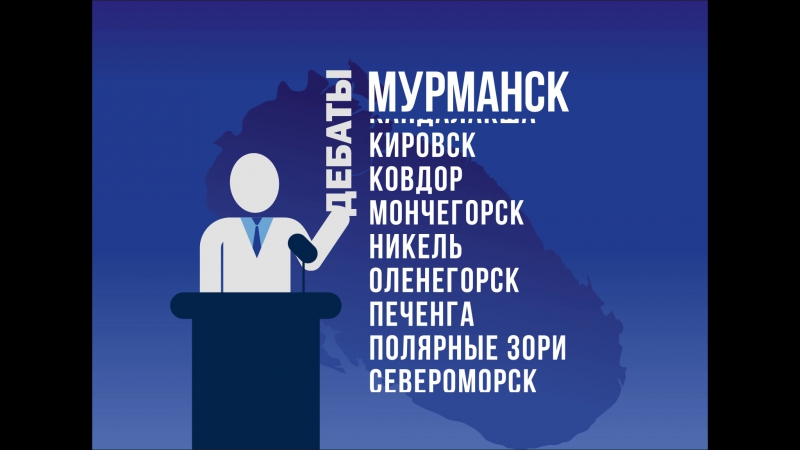 Предварительное голосование ер 2016