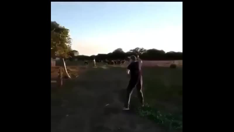 Классный телёнок 😍