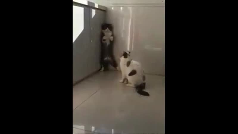 Когда пьяненький муж поздно пришел домой, а жена ждет на пороге!