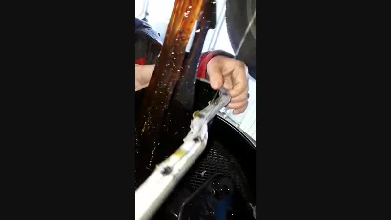 Нормальное porn video – Нормальное масло