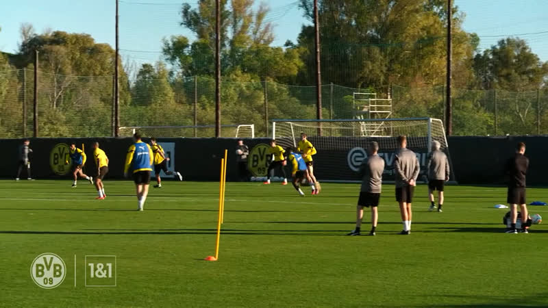 Боруссия дортмунд полная тренироа эдина терзича