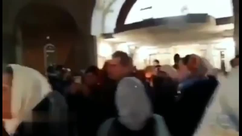 Бежим от гепарда