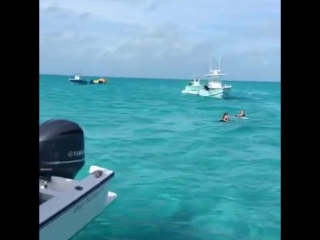 Snapchat elsa hosk and alessandra ambrosio in bahamas