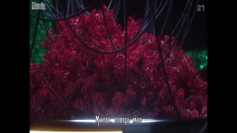 [mania] imlay asteroid (feat yangyang of wayv)