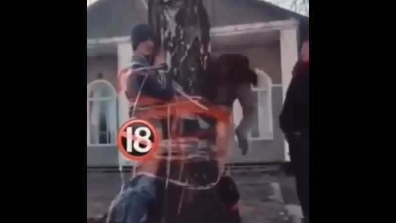 Бандер бабке по кайфу бандер порядки