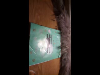 Live бумажные сюрпризы лучшие подружки