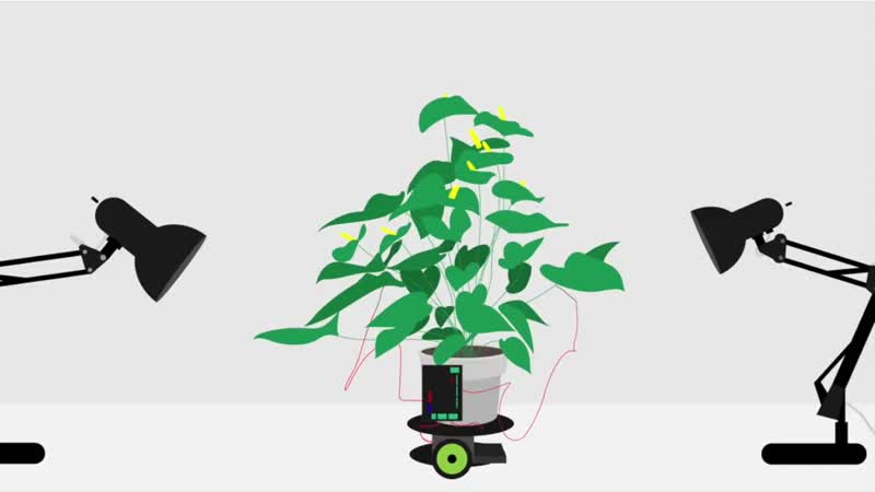 Растение датчик