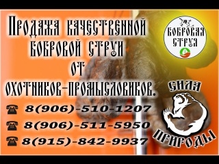 Бобровая струя ☎ 8(906) 510 1207