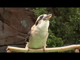 Порно мемы knew this whore reminded me of something