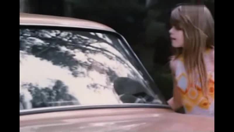 Бабочка | motyle | януш насфетер (1972)