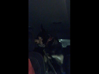 Live группа помощи бездомным молодые "коткурорт"