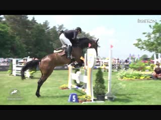 Festiwal jeździecki baborówko 2018 eventing jumping cic2* shumskiy/mt maggie may