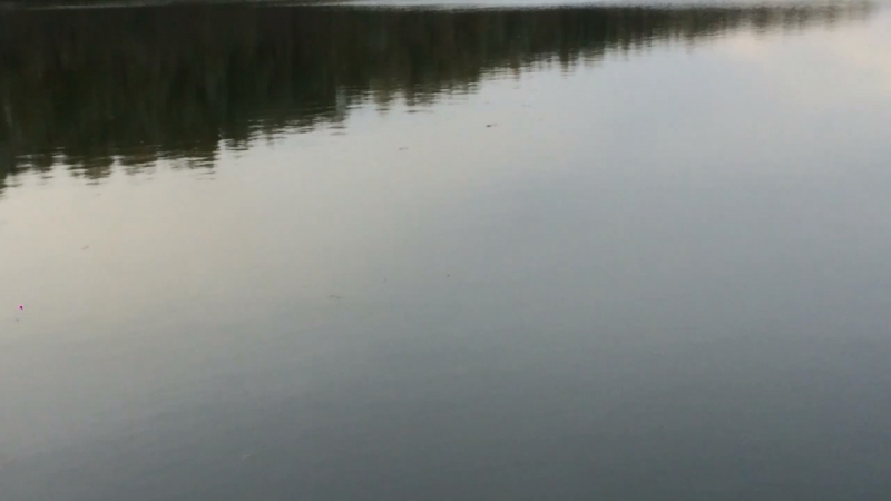 Александроа,карп 10 кг 2