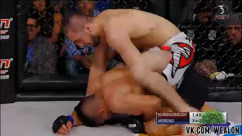 Абубакар нурмагомедов vs джордж морен
