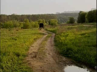 Фильмы про молодые, бедная собачка, лучшие секс фильмы