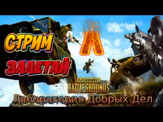 Shmel shmelev live via