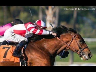 Battle of midway 2017 santa anita allowance race