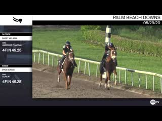 Sweet melania (outside) and spice is nice worked 4 furlongs in at palm beach downs on may 29th, 2020
