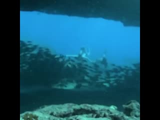 Spearfishing reviews 20200218 225227 0 mp4