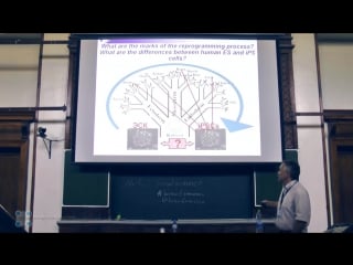 Генетическое репрограммирование соматических клеток что нам дает биоинформатика сергей киселев