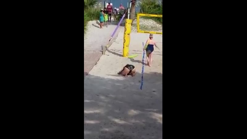 "катюша" ( современная версия ) выходила на берег катюша