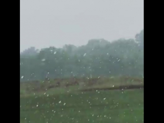 Talk about some dedicated golfers sunday in arlington, texas! as heavy rain fell, these golfers kept on golfing weathernationtv
