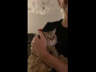 Киска и шнур дома 😻