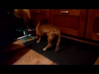 Степа кушает