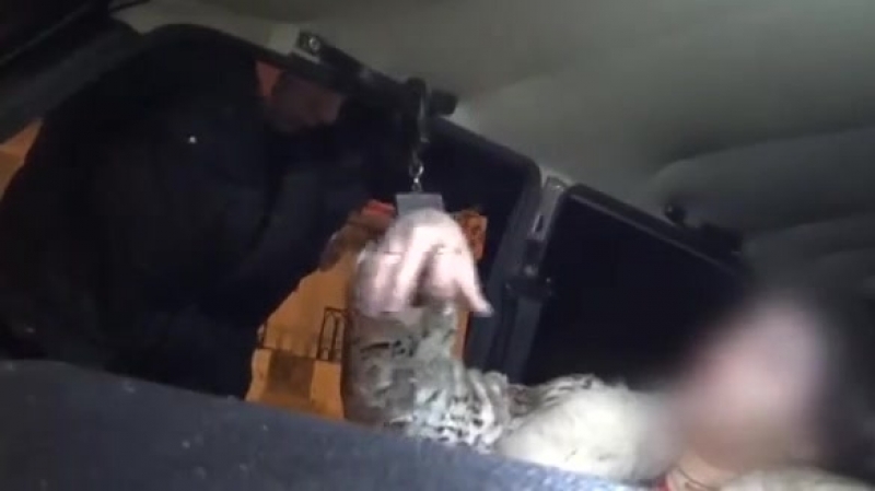 "автоледи" из губкина