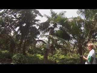 Sri lanka 2016 pearl of the indian ocean gopro