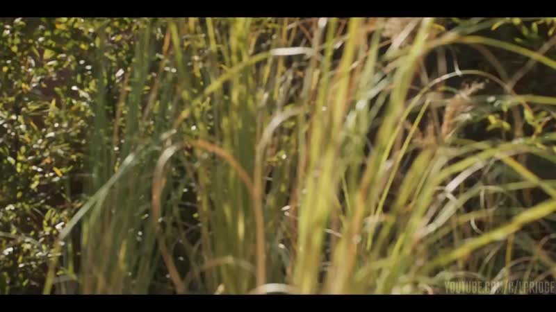 Откуда ты такой взялся? твою мать трахнул козёл? |ведьмак