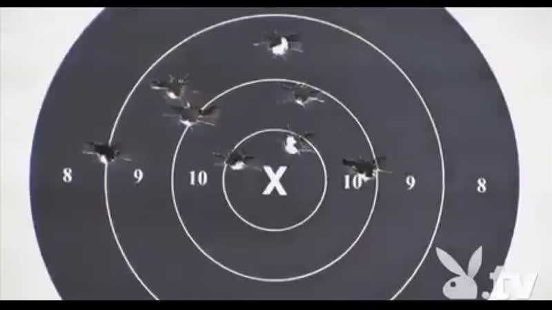 Голые секси женщины стреляют по мишеням! очень эротично!