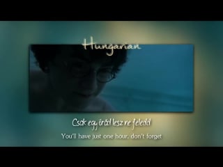 Harry potter underwater secrets|one line multilanguage