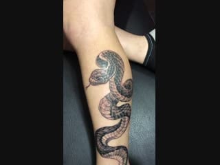 Татуироа змеи на ноге