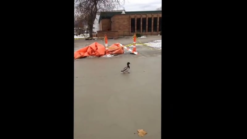 Заказчик не доволен работой