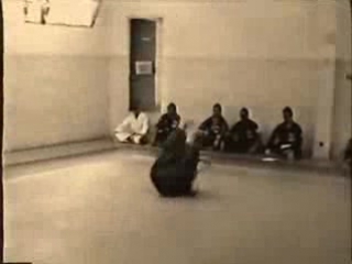 Daito ryu aikijujutsu shorinjin ryu saito ninjutsu demo segment 0
