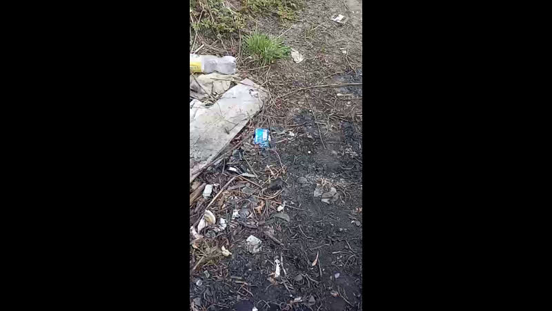 С братом сидим кайфуем