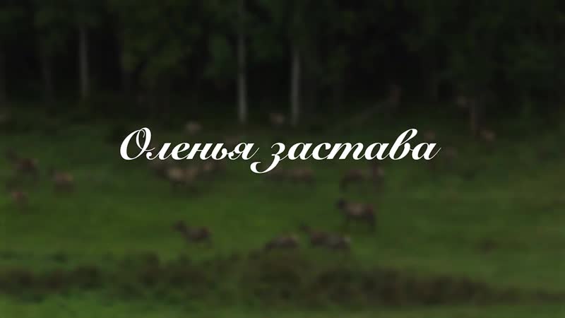 Оленья застава