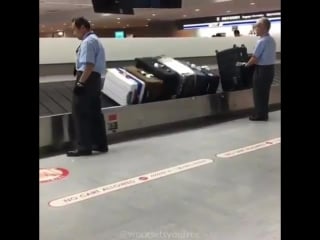 Japanese airport workers organize luggage usin