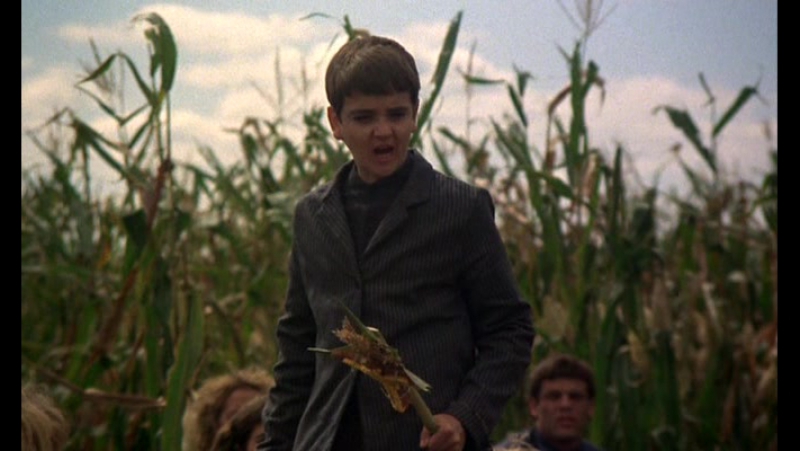 1984 молодые кукурузы / porn of the corn