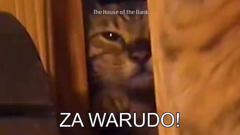 Джотаро против дио