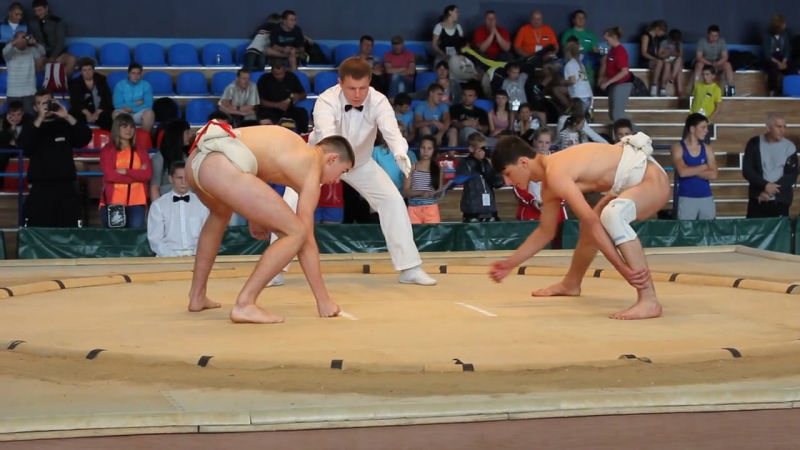 Сумо чемпионат европы,луцк